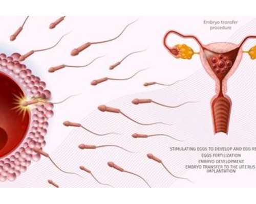 嘉兴代孕_嘉兴代孕医院_人工授精的适用对象有哪