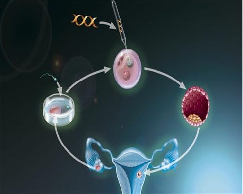 无忧代孕网_代孕网费用_代孕双胞胎哪些风险