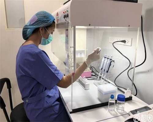 代孕网咨询电话多少_早安武汉 ｜ 友谊大道启动