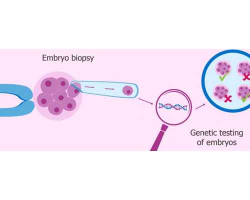 郑州做试管一共要花多少钱，郑州做试管多少钱一次