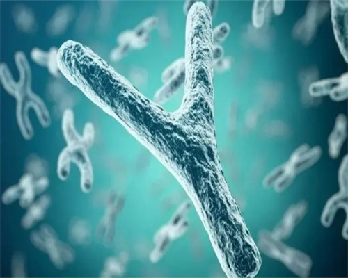 深圳自精供卵,【深圳供卵机构供卵危害大吗】终于迎来了我期待已久的喜讯