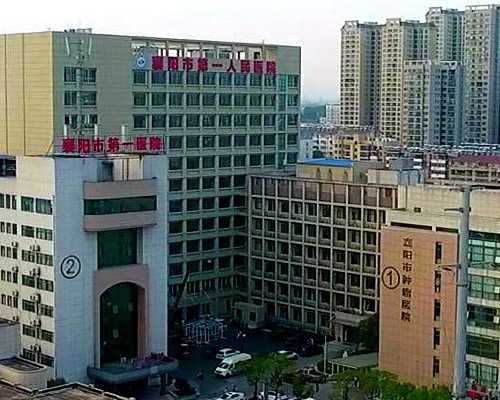 深圳代怀来分析师_做泰国第三代试管婴儿哪些医院好