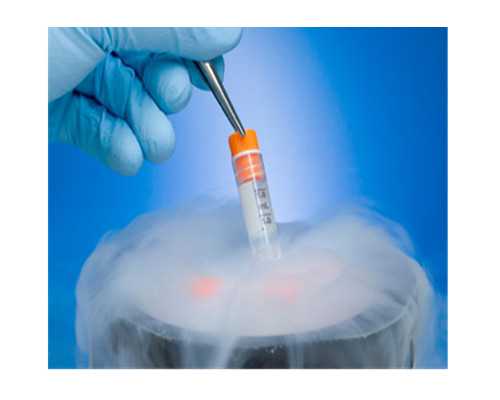 济南金贵子华人供卵费用,【济南供卵费用】终于接到好孕，进来的都会好孕