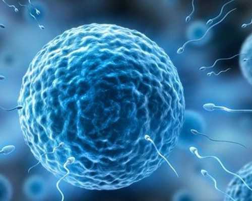 输卵管粘连应该怎样去进行预防