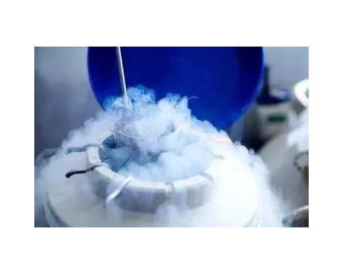 深圳助孕报价，代表建议深圳医保报销治疗不孕不育等,深圳:无目录调整权限