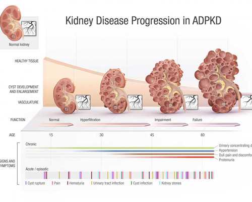 池州借卵试管婴儿包成功#试管婴在出生后的前几
