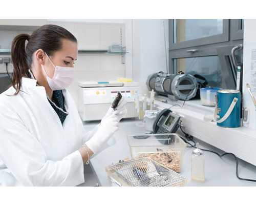 代孕哪里可以,二胎例假正常怀不上孕的原因