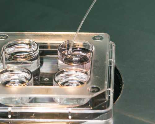 呼和浩特去格鲁吉亚三代试管助孕生子大概要花费多少钱