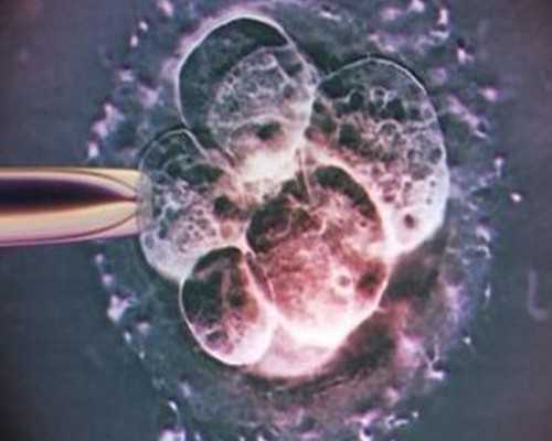 助孕公司哪家公司好_贫血的人适合怀孕吗