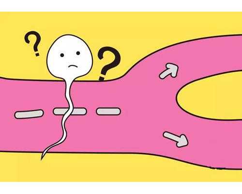 怀孕初期哭会导致流产吗