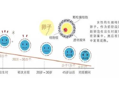 哪里有代生小孩价格_揭秘明星产后减肥秘方