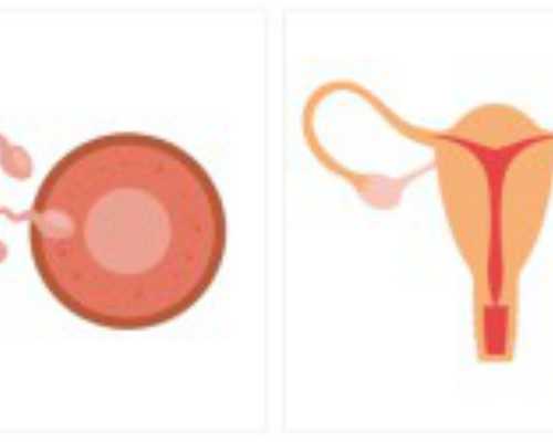 2026深圳三代供卵试管生男孩医院排名揭秘大公开，看完你就知道怎么选择了