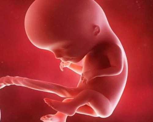 深圳代孕中介_深圳最好的代孕_深圳有想做代孕的