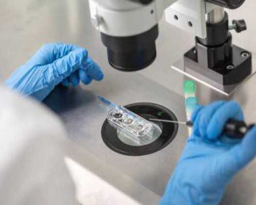 深圳代孕网_深圳找人做代孕要多少钱_孕前生活状态能影响胎儿性别