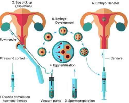 代怀孕多少钱_孕30周胎动幅度变小正常吗
