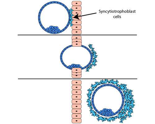 【崇左三大助孕公司地址】崇左三大助孕公司