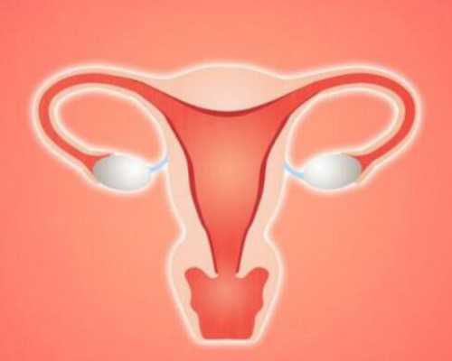 供卵试管做无创准吗,试管供卵需要做无创DNA吗人工授精二三事