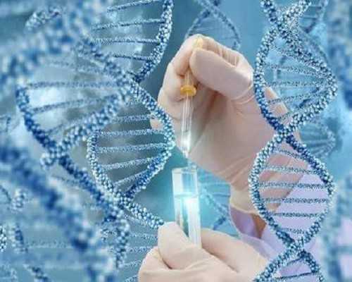 深圳试管供卵的费用是多少