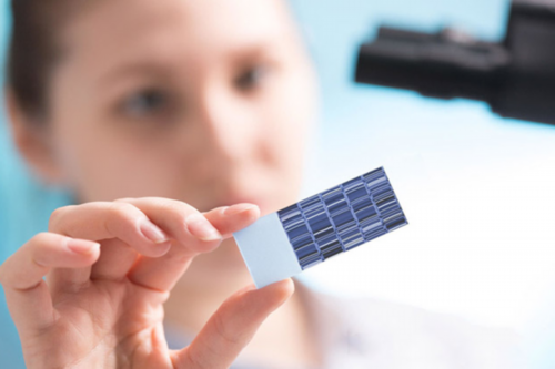 掉头发后的饮食调理很重要?