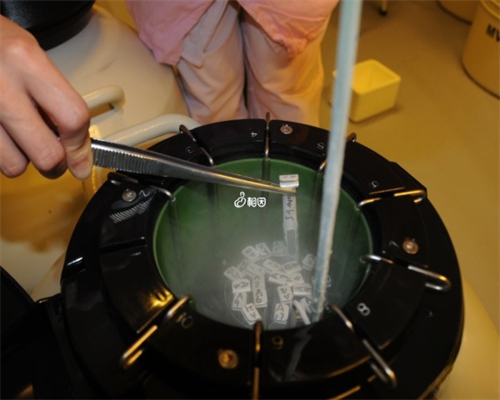 深圳单身女性冻卵有限制！关于费用和医院一文带你了解