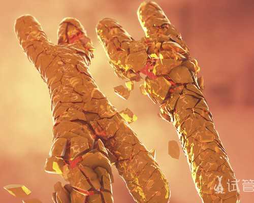 代孕哪家做得好,代孕妇后期能不能吃海参