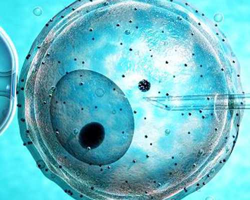 深圳代怀哪里便宜_深圳想找助孕公司