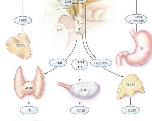 深圳代孕靠谱吗_深圳代孕孩子的地方_深圳试管婴儿取卵代孕