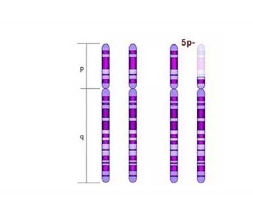 捐卵代孕网_代孕网哪家靠谱_代孕包性别多少钱