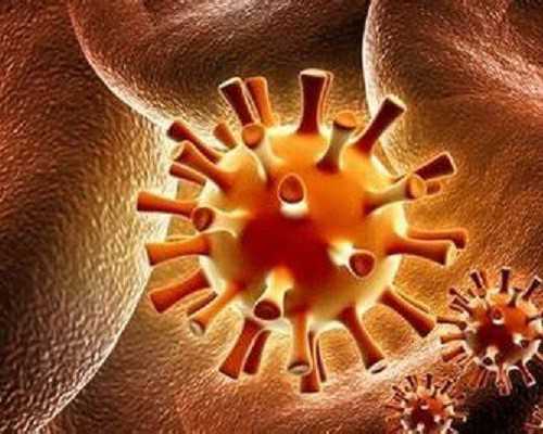 河北助孕哪家好