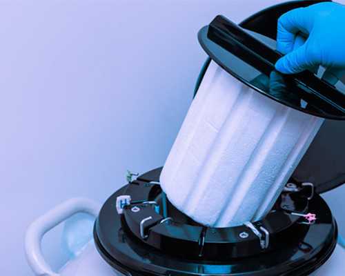 福建试管借卵公司,深圳市最好可信的试管公司_试管婴儿取卵过程