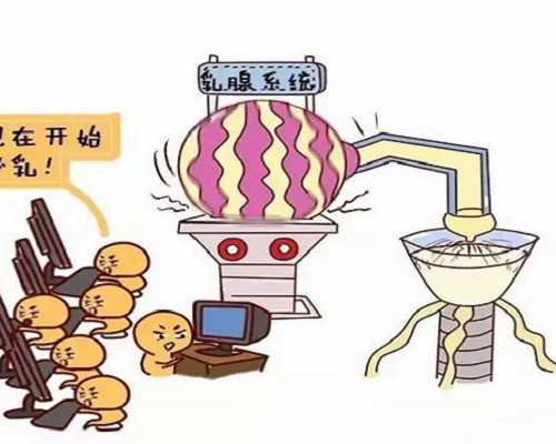 2026四川做供卵试管代孕费用