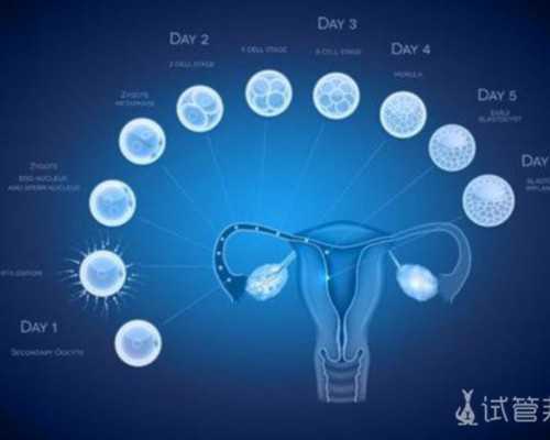 贵阳试管婴儿移植成功后，几次B超合适？