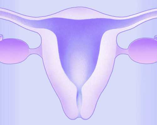 广东供卵试管医院排名，附2026年正规医院卵源等待时间！