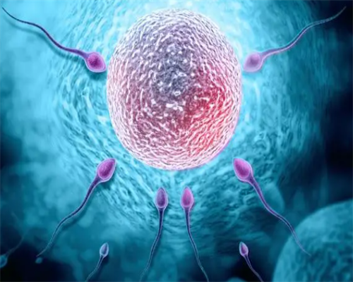 深圳供卵代孕_深圳代孕孩子价格_深圳找人做代孕多少钱