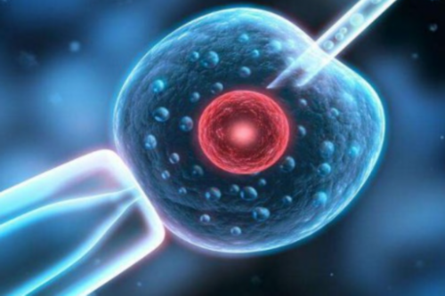 东莞借卵费用高吗，代孕在哪里