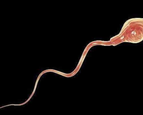 染色体没有异常孩子,女人生孩子切除子宫,三代试管移植成功率有多大?移植