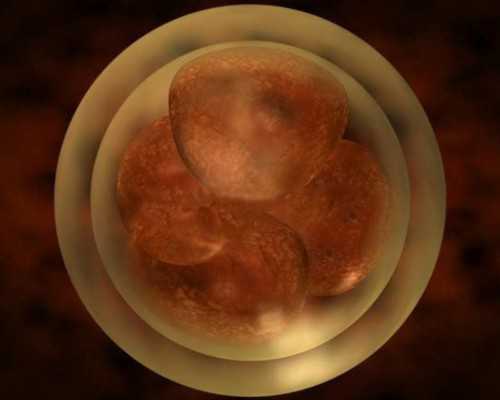 39岁卵巢性不孕，供卵包成功生男孩可靠吗