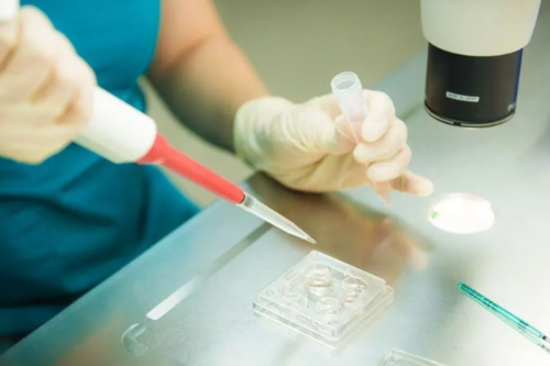 湖北武汉正规供卵机构在哪里?附供卵费用及医院名单?