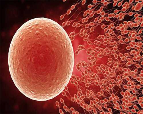 供卵试管生孩子有哪些中介-权威代怀价格