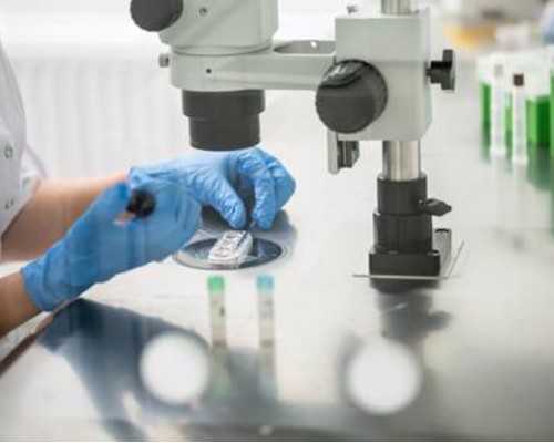 哪里招聘代怀孕妈妈_怀孕能对着手机电脑吗