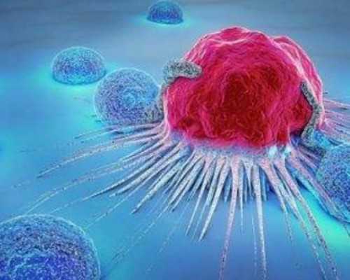 深圳想找个供卵试管的_深圳做代生的医院