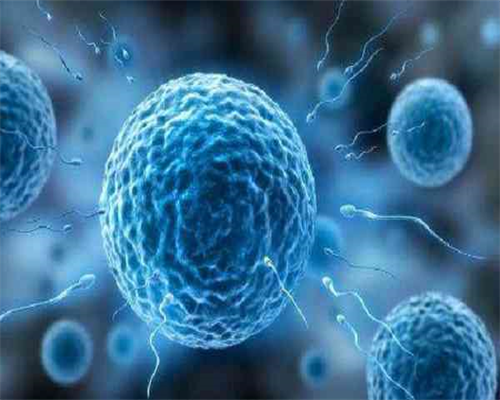 深圳代妈-深圳正规的代孕机构-做四维彩超医生会暗示怎么回事