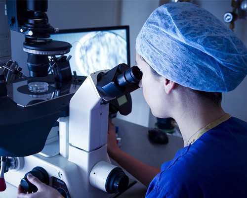 借卵做试管供卵试管需要保胎多久_靠谱代怀要花多少钱