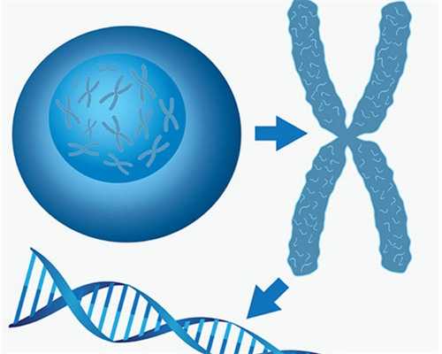 深圳代孕网-深圳代孕妈妈的价钱【深圳专业代孕安全放心】