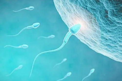 云南供卵医院金贝供卵,【云南供卵医院地址】观望了好久总结出孕期心情很重