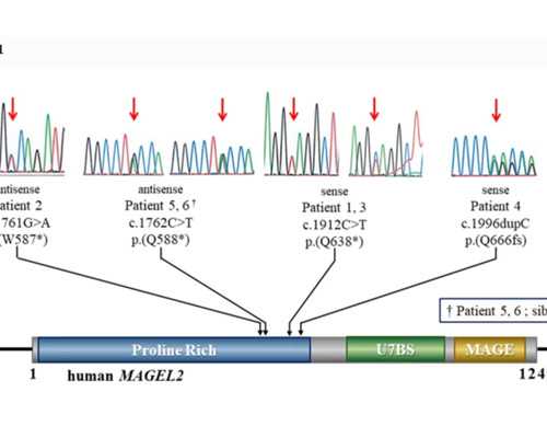 康艳达品牌入选CCTV中视购物《灿烂中国》栏目签约仪式在上海
