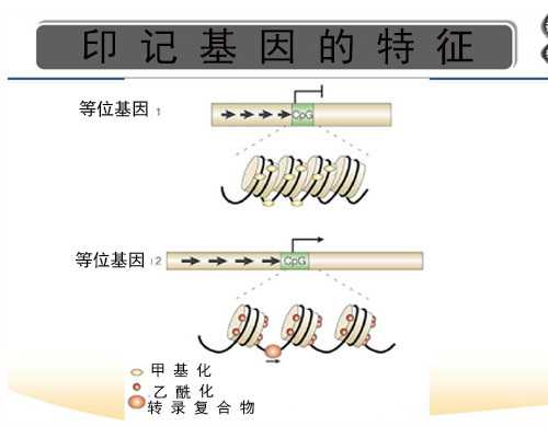 代生宝宝网,供卵试管要十几万吗