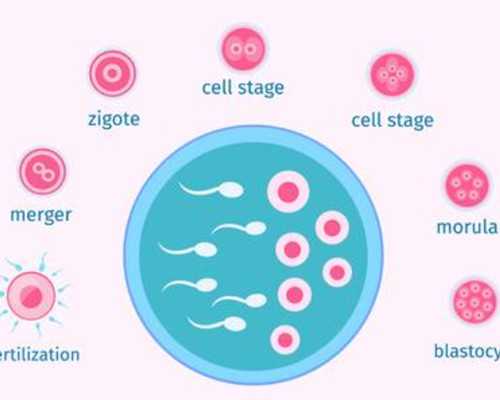 海口怎么找供卵，海口正规供卵医院排名