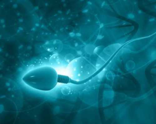 深圳代怀产子医院_成长绘本：卡尔是个“小坏蛋”