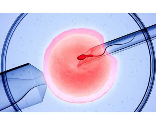 深圳代孕正规吗_深圳代孕生儿子_深圳最好的代孕公司空心菜需要焯水后再炒吗